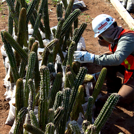 ESG: Water & Environment